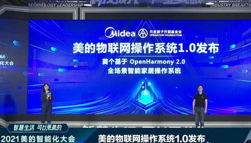 雪中送炭 4800億巨頭接入鴻蒙，華為網絡技術開發的堅守終見曙光